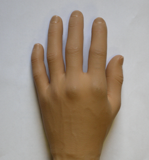 Rubber Hand Illusion
